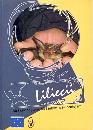 Cover of Liliecii - Să-i cunoaștem, să-i iubim, să-i protejăm